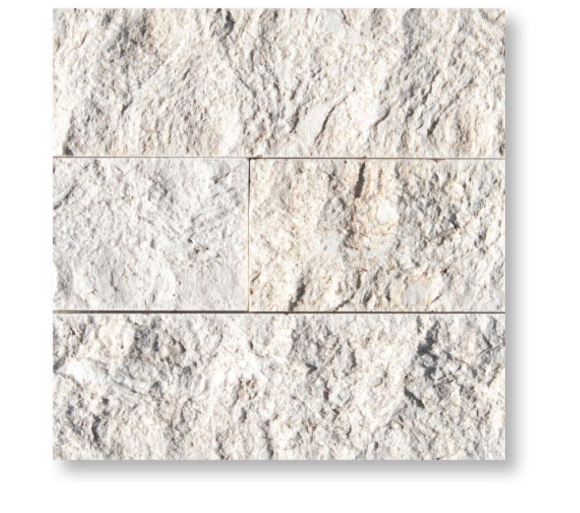 Coquina Limestone 1