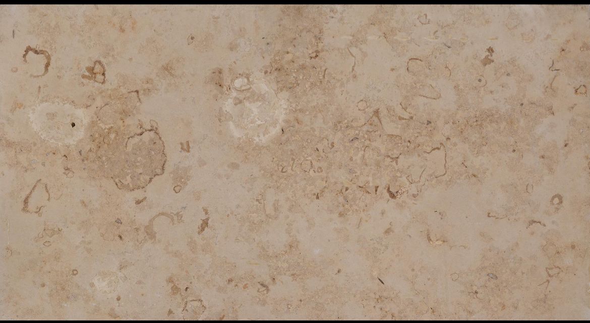 Fossil Limestone 1